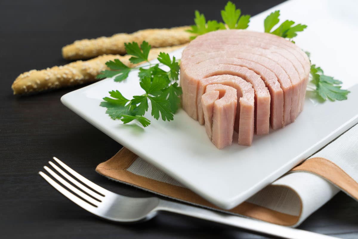  افضل انواع معلبات التونه في قطع أجود لحم السمك 