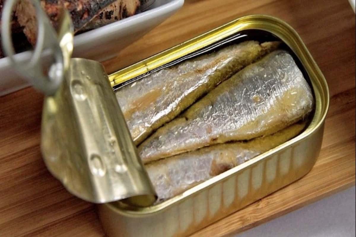  افضل انواع معلبات التونه في قطع أجود لحم السمك 